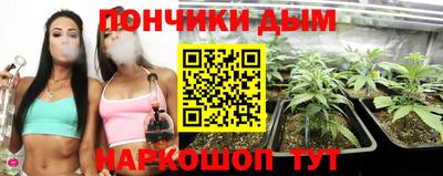 гашиш Кингисепп