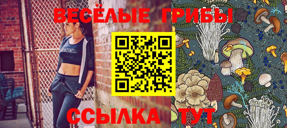 Псилоцибиновые грибы Psilocybe Кулебаки