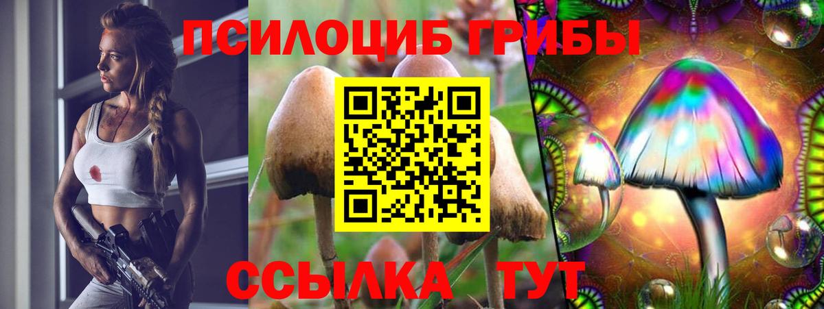 Галлюциногенные грибы мухоморы  Галлюциногенные грибы MAGIC MUSHROOMS  Кулебаки  Вход с VPN 